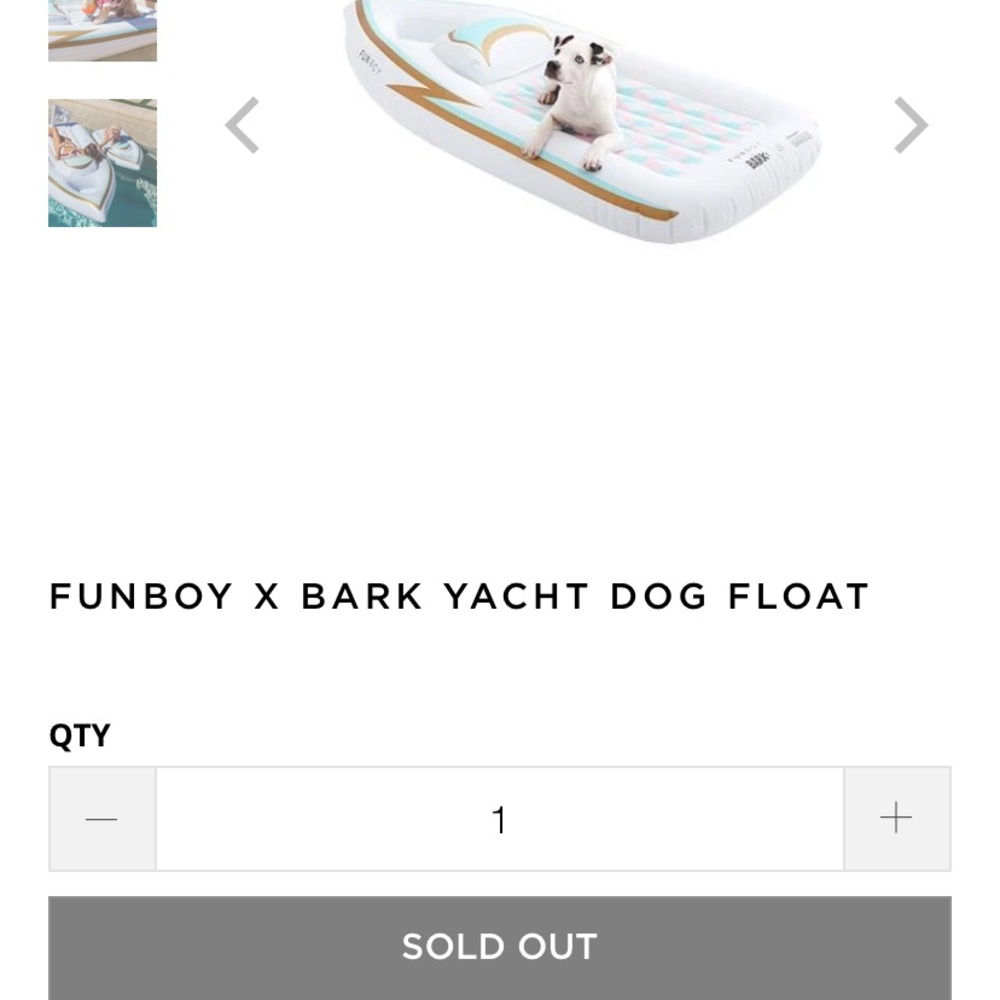 Funboy Yacht Dog Float